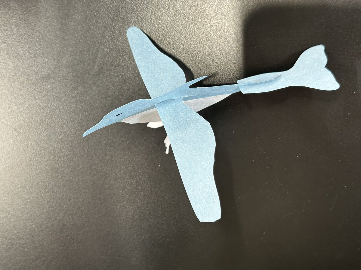 bag of trouts tweet media