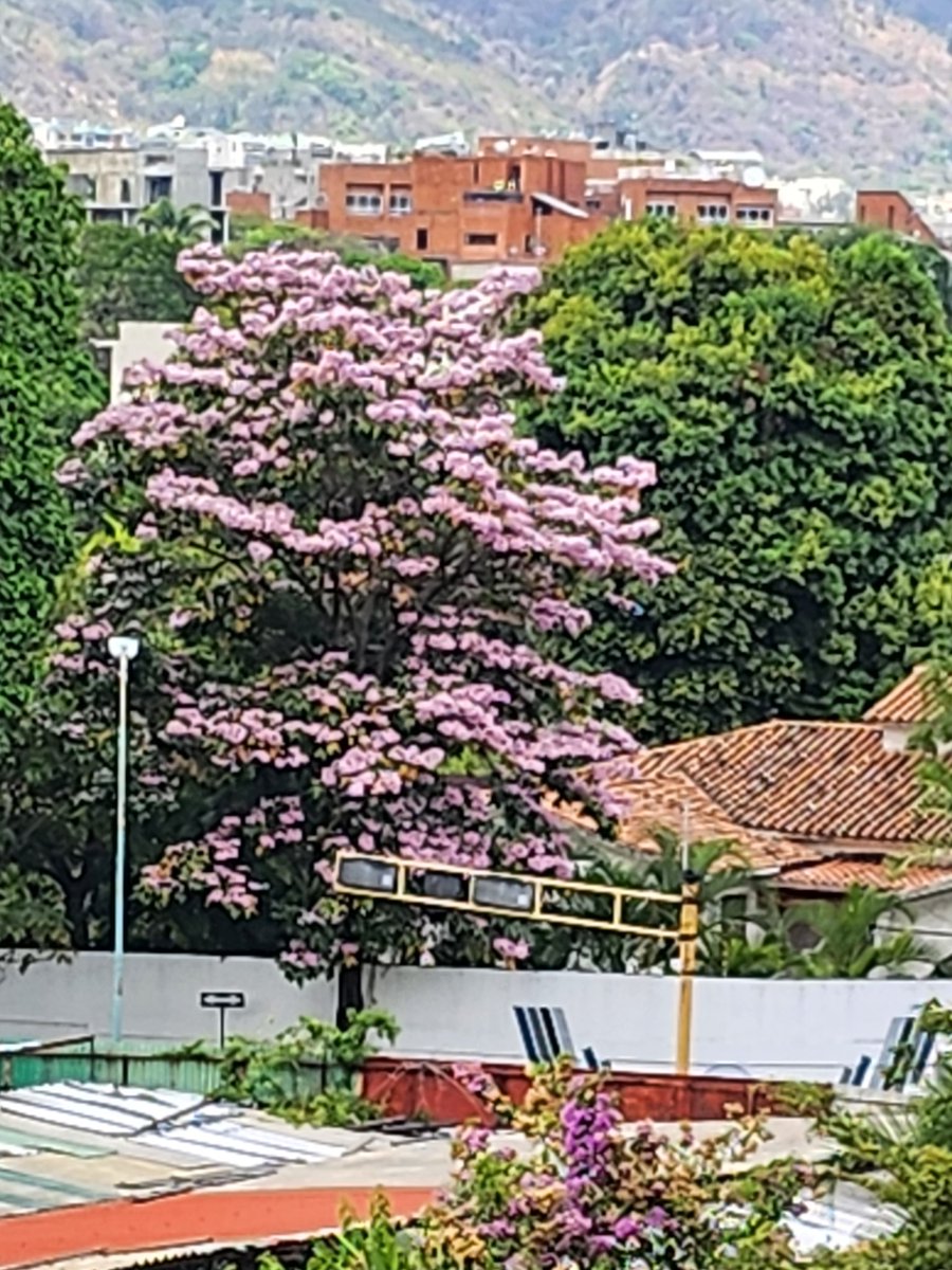 Country Club, Caracas.