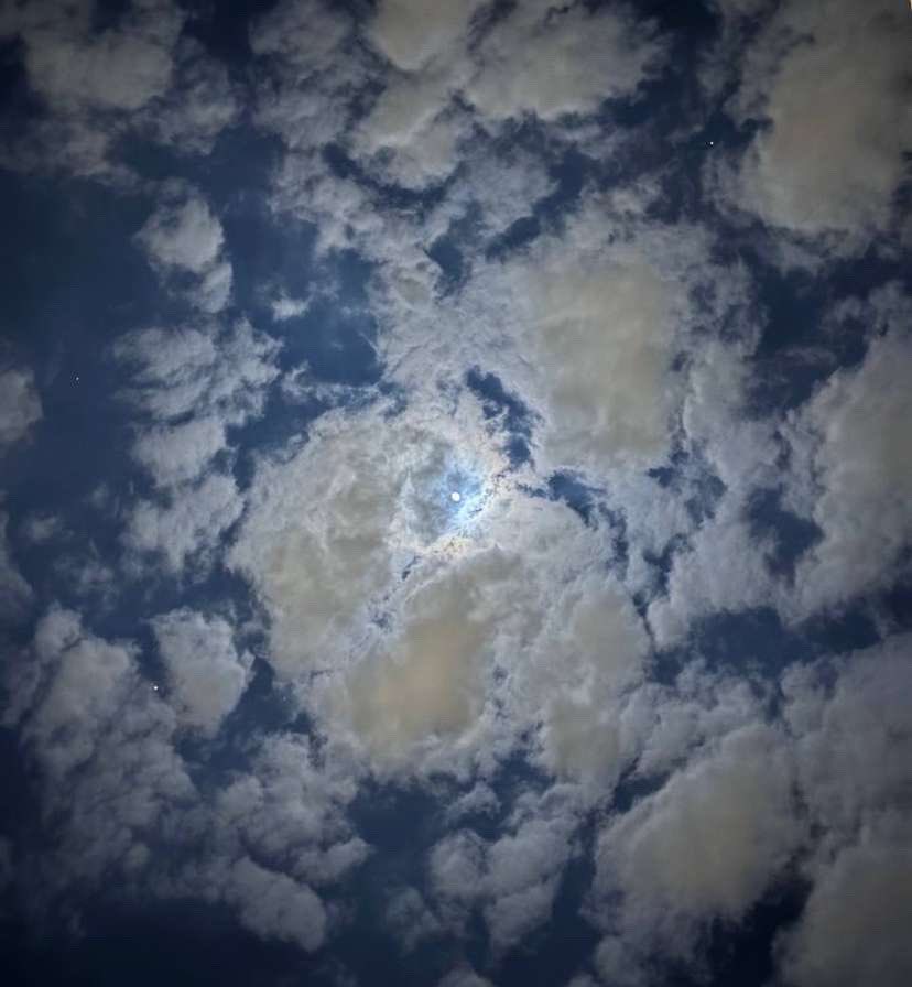 yee13224's tweet photo. ادري انك حلم ، والحلم يمكن ما يطال
لكن انا راضيٍ فيه جعله ما يصير !

اتركيني بين الأحلام / انا احب الخيال
الخيال أحلى من الواقع / الواقع مرير :)

- فهد قطنان |@Fahad_Qatnan https://t.co/CpLHxnOX7R