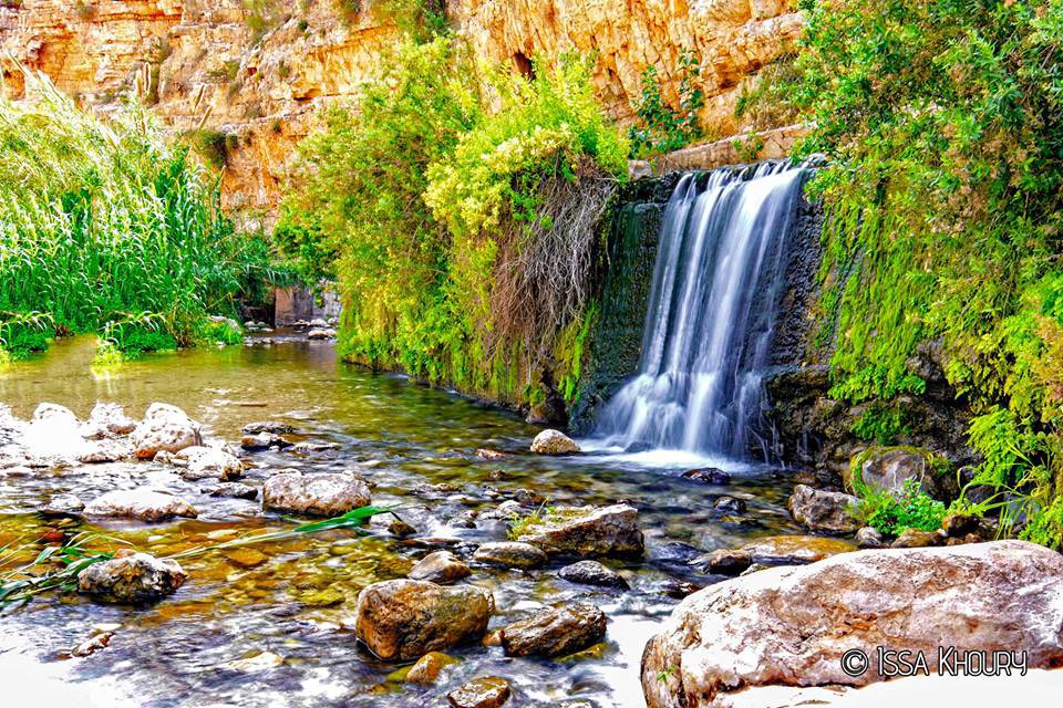 vampl0vrrr's tweet photo. the beauty of palestine shall always be spoken of. https://t.co/jIStIq8F6z