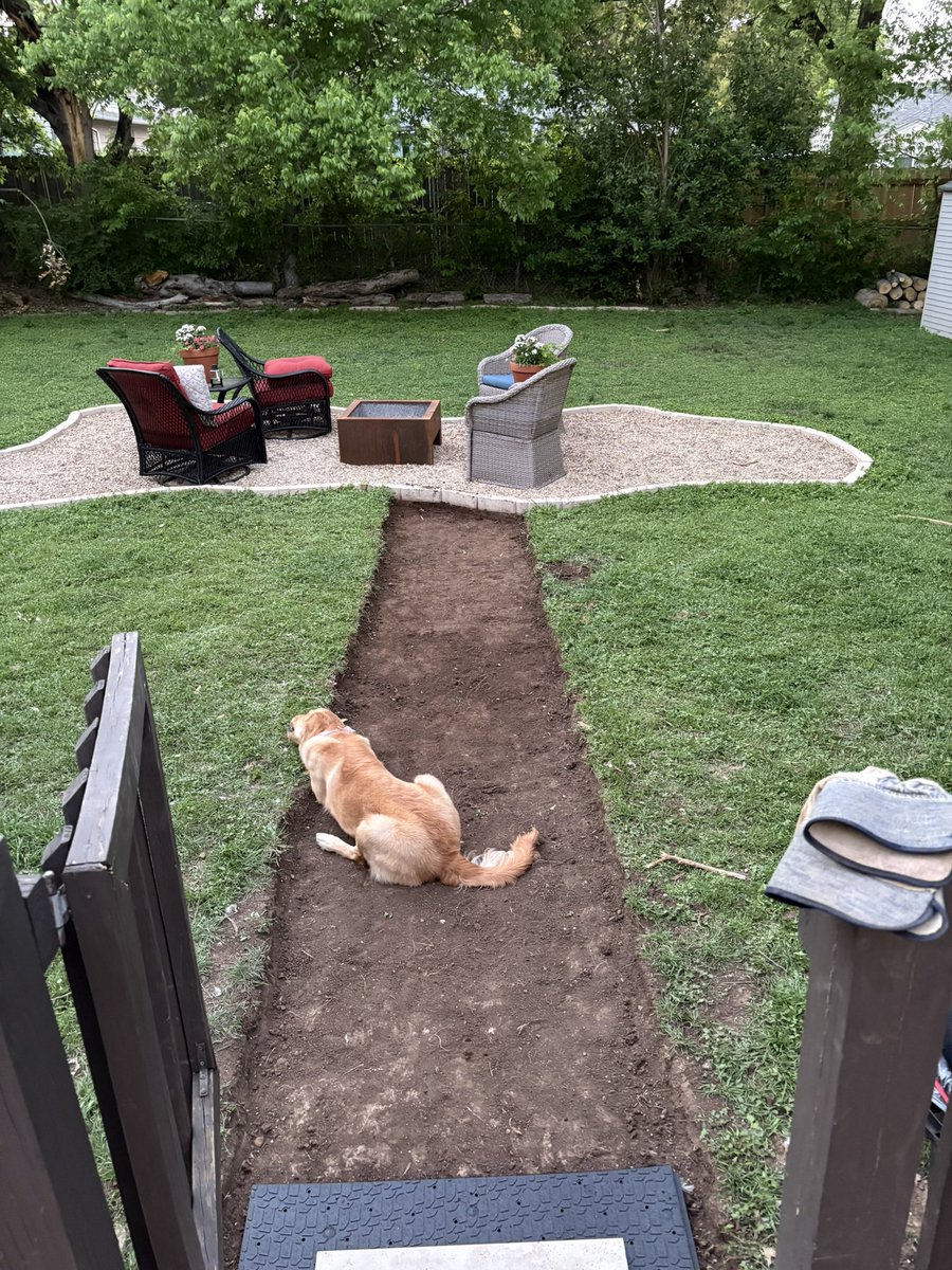TreyHille's tweet photo. Dug a hole today https://t.co/kXz6eGPwNC