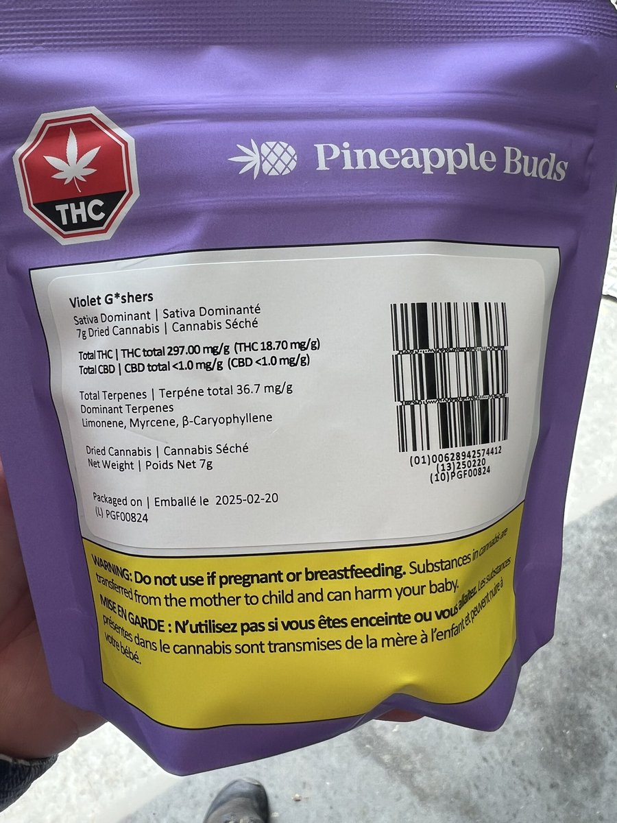 Violet G*ashers <a href="/BudsPineapple/">Pineapple Buds</a>