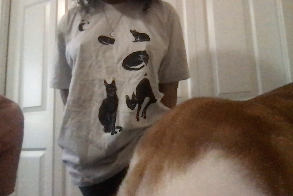 Alix (@honeycombasmr) on Twitter photo 