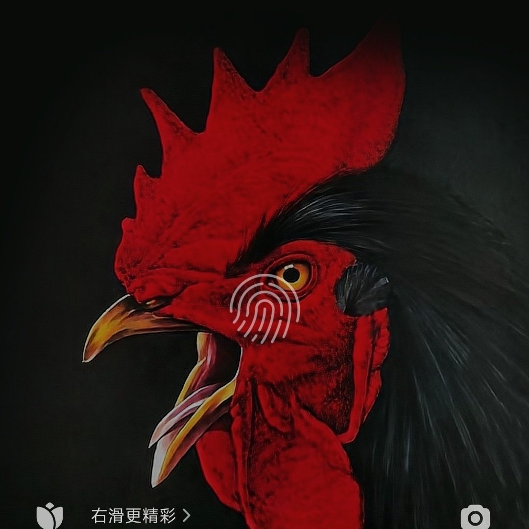 wangdi6810's tweet photo. #新头像 https://t.co/MTjRjT3zDN