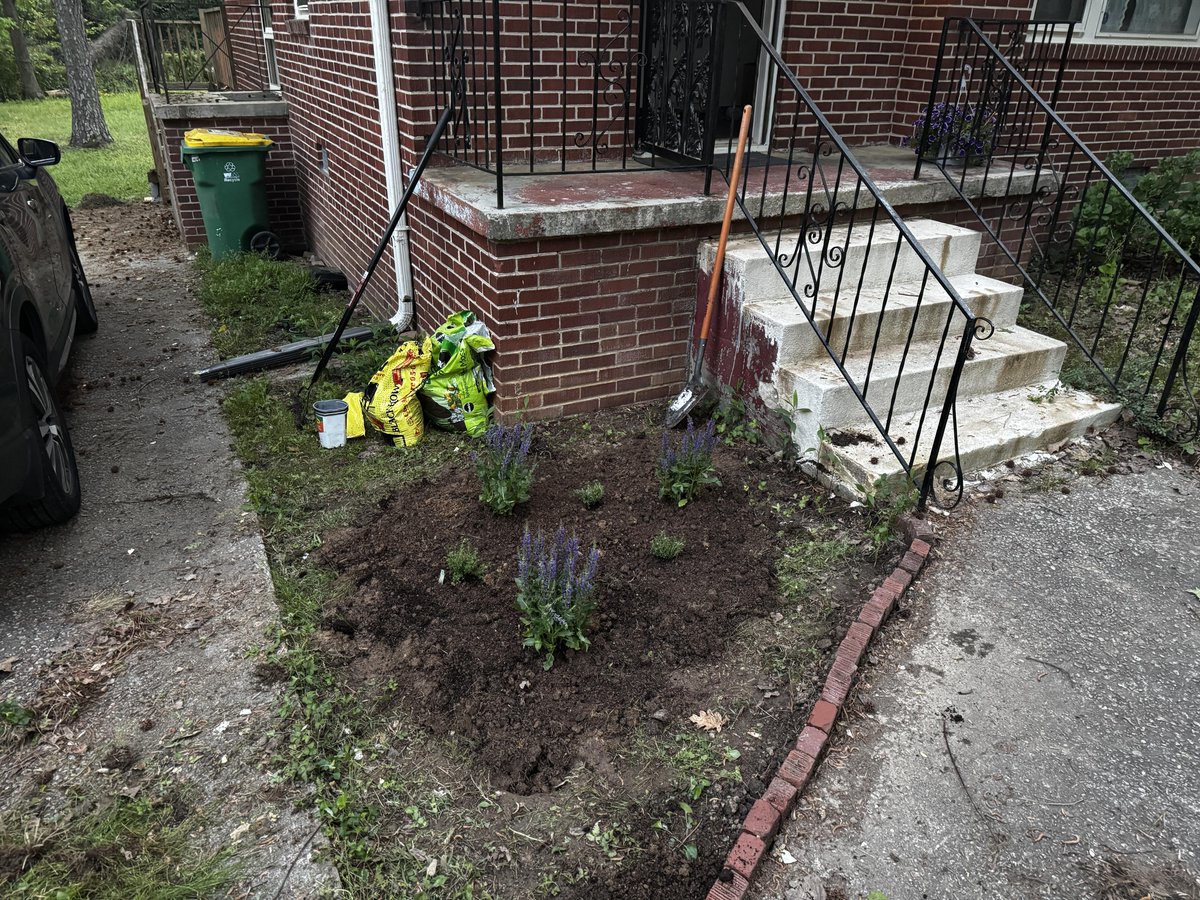 Today, I put my first plants in at my new house. 

I planted lavender &amp; lemon thyme in a section of the yard by my door. Using thyme as my ground cover as it’s ability to spread will be useful in the space but the driveway &amp; sidewalk to the door will block it from the yard.