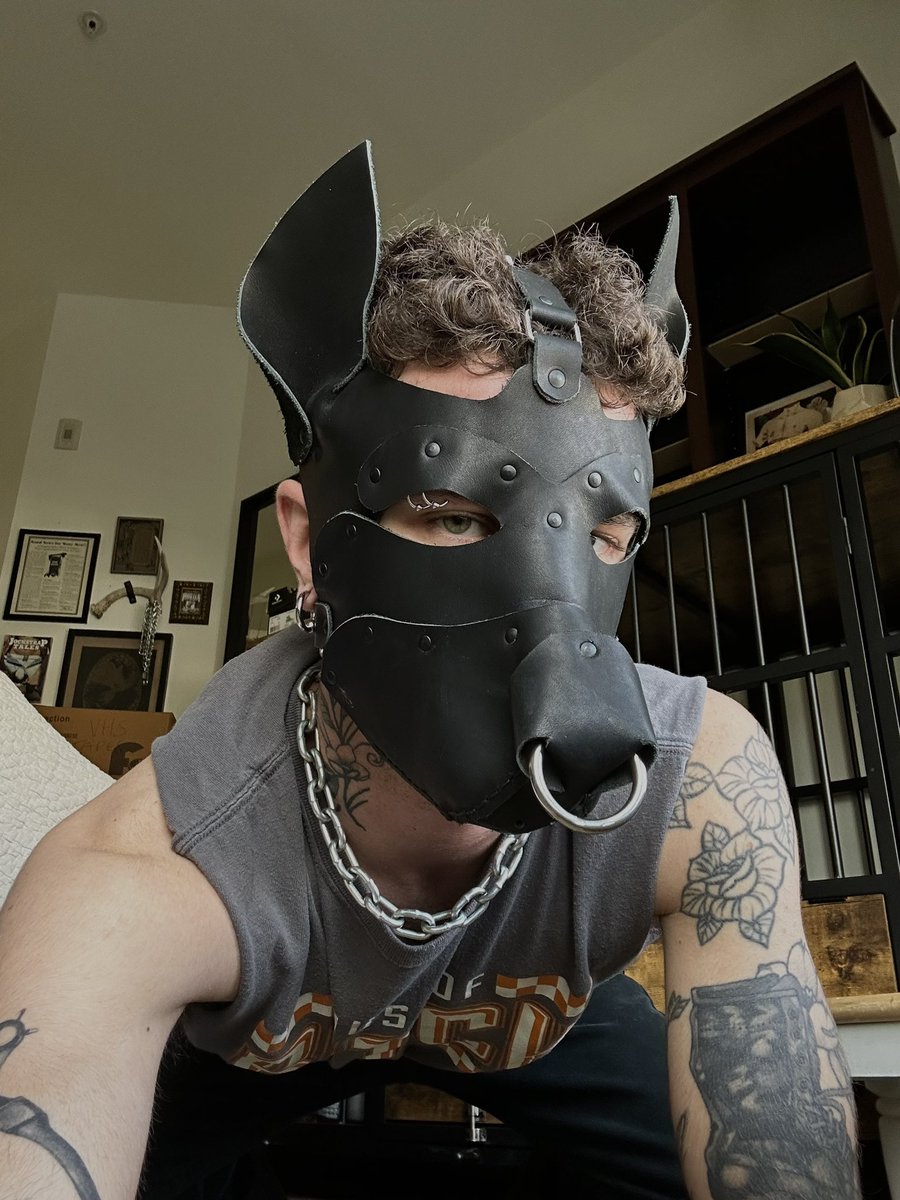 believe me when i say, woof