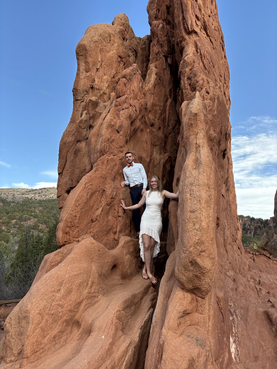 Wayne Shevey tweet media