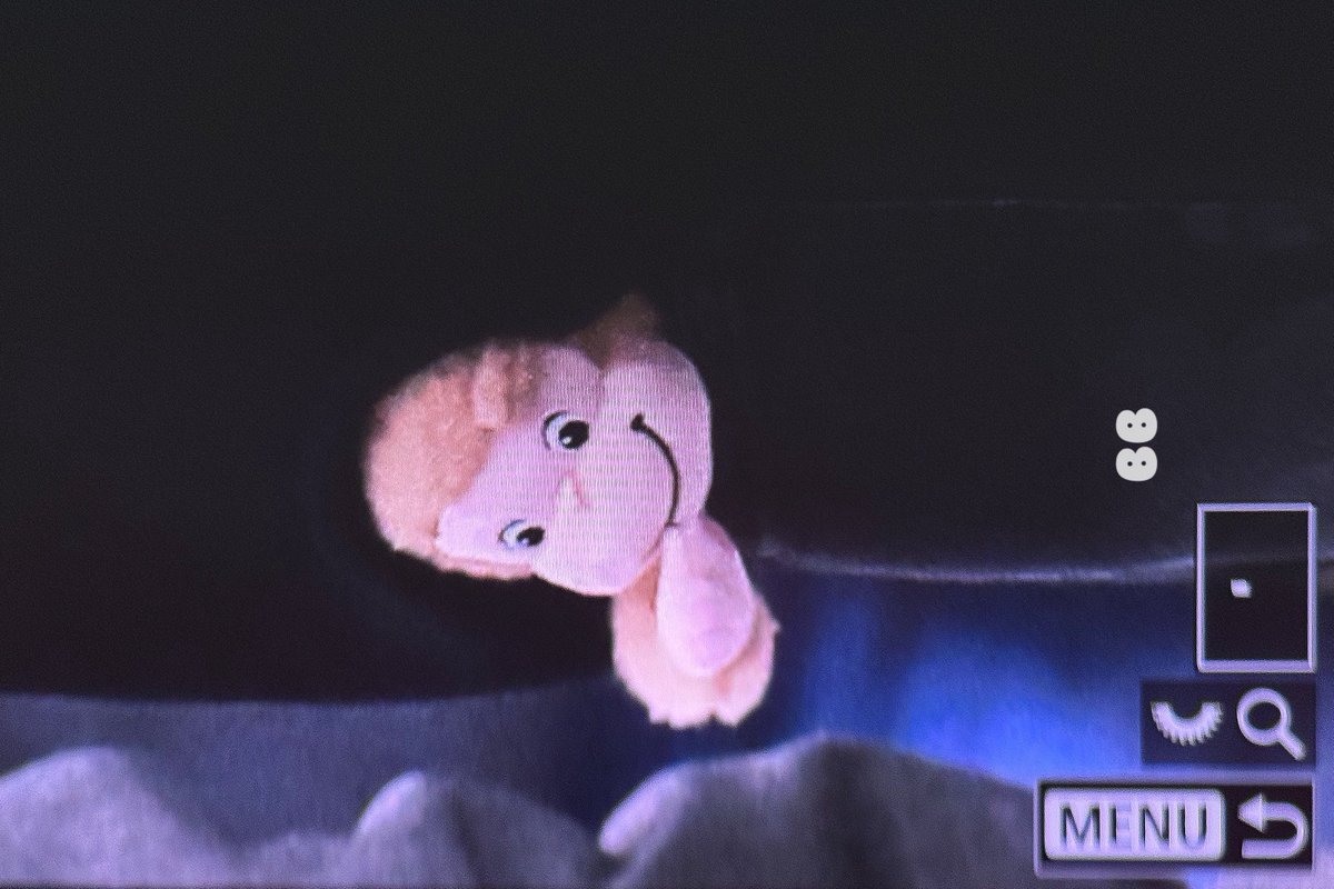 BB 뽀기 tweet media