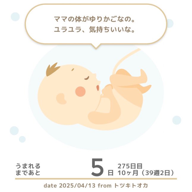 chiiiiiii_vo's tweet photo. 結局出産の兆候0だけど、今日から計画無痛で入院!
怖い!がんばる!😭
#39w2d https://t.co/rjcHnxe6w4