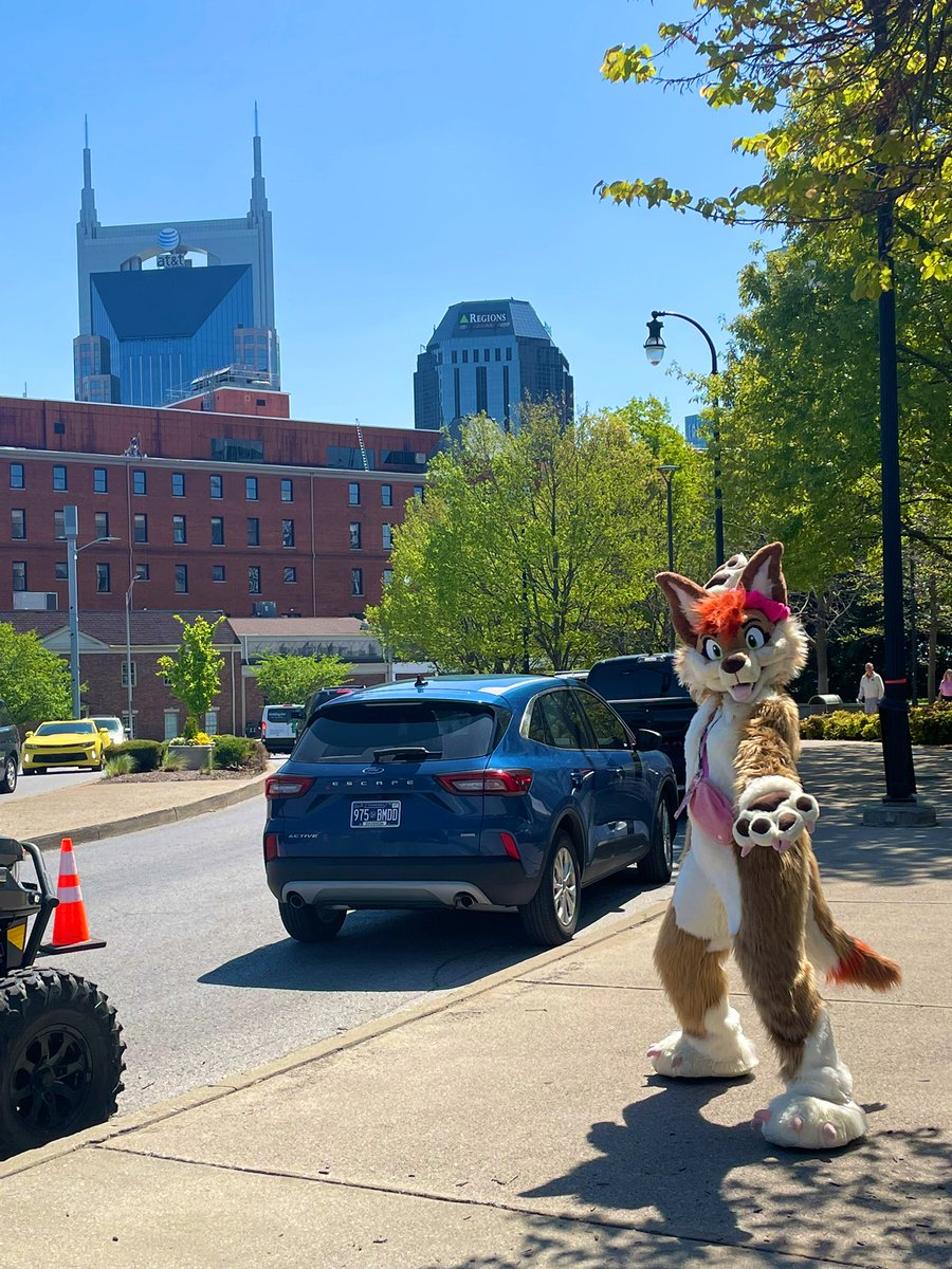 Yaller_Dog's tweet photo. Batman building, Nissan Stadium, and a cool robot all in one day! #NashvilleCherryBlossomFestival #furry #YallerDog #fun #fursuit #BatmanBuilding #NissanStadium #costumes https://t.co/xzq3b85wna