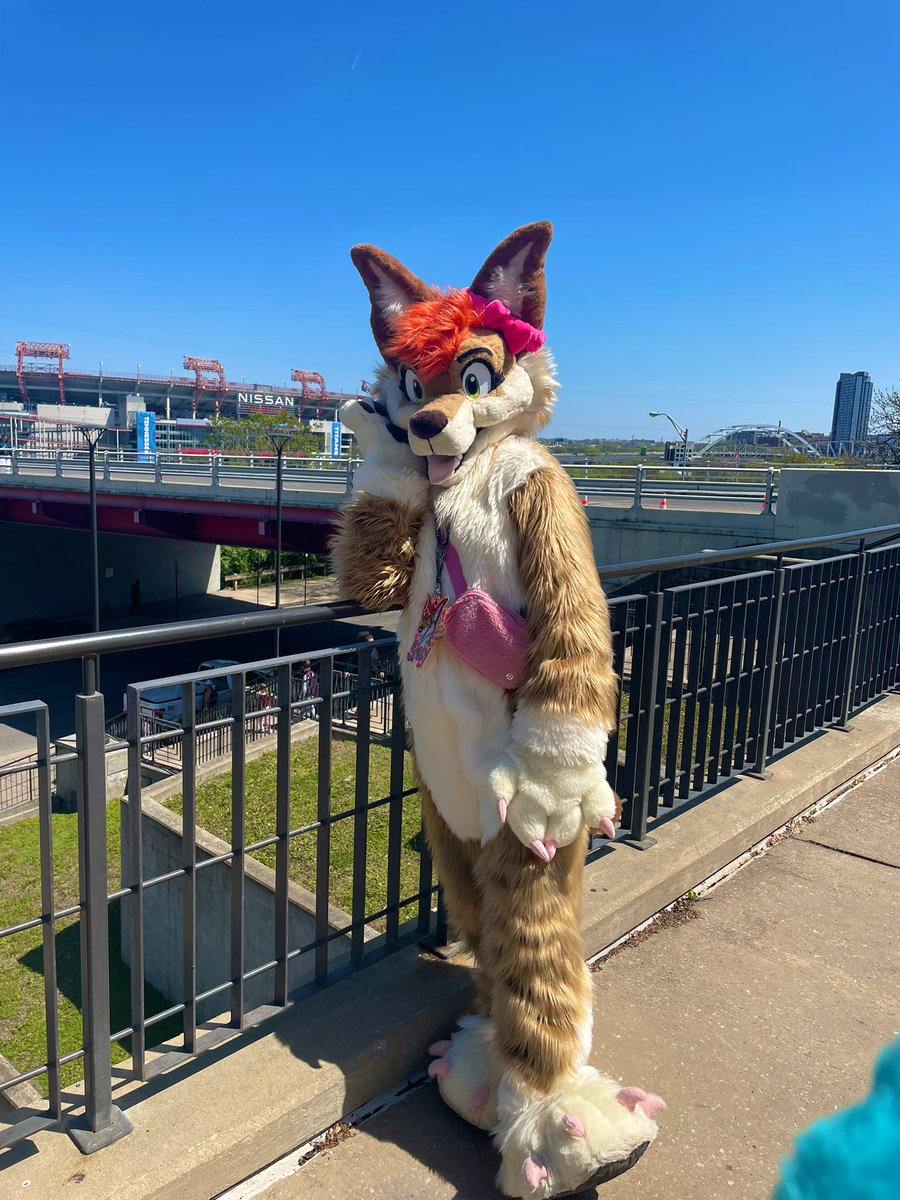 Yaller_Dog's tweet photo. Batman building, Nissan Stadium, and a cool robot all in one day! #NashvilleCherryBlossomFestival #furry #YallerDog #fun #fursuit #BatmanBuilding #NissanStadium #costumes https://t.co/xzq3b85wna