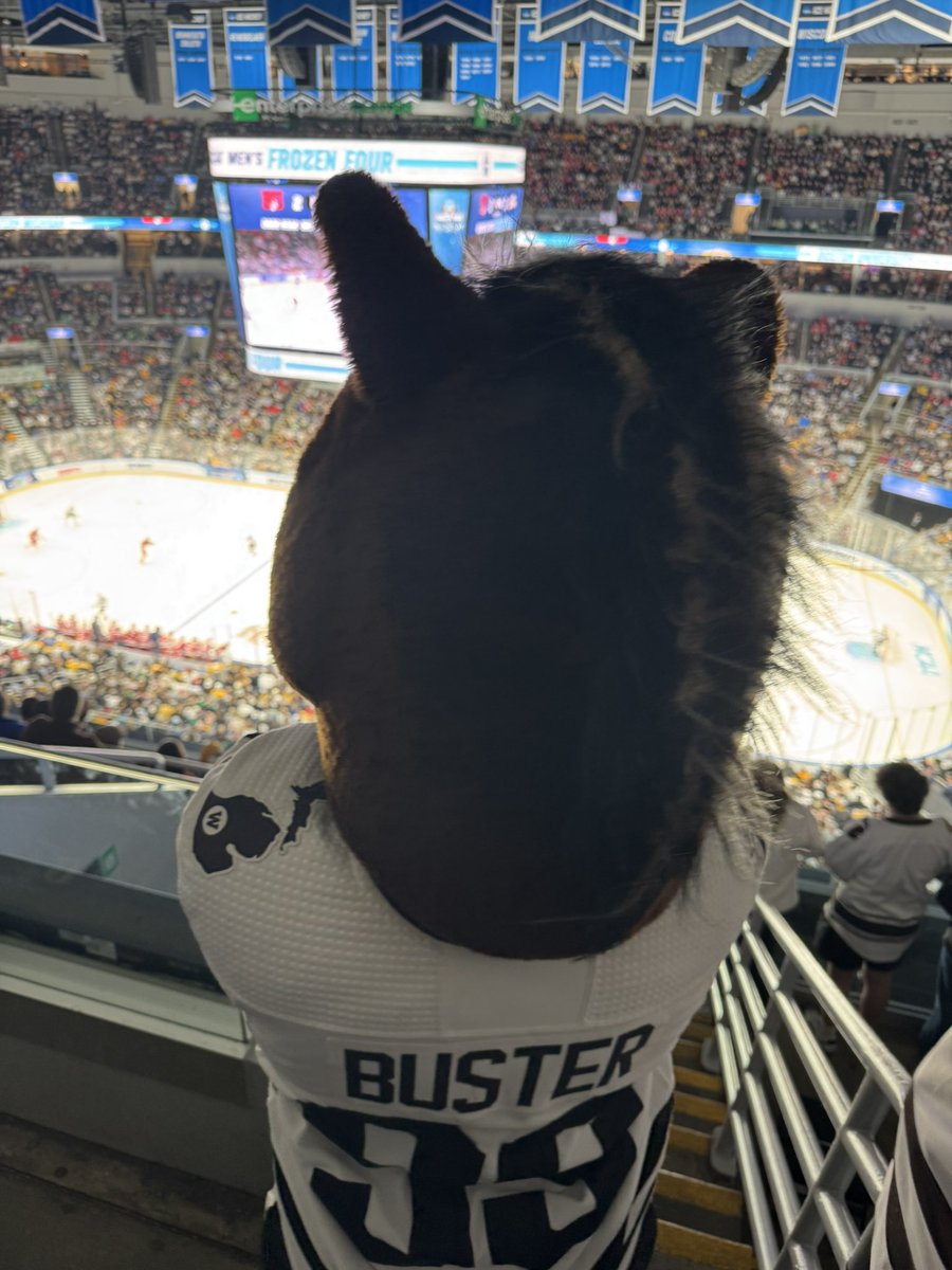 James Murray tweet media