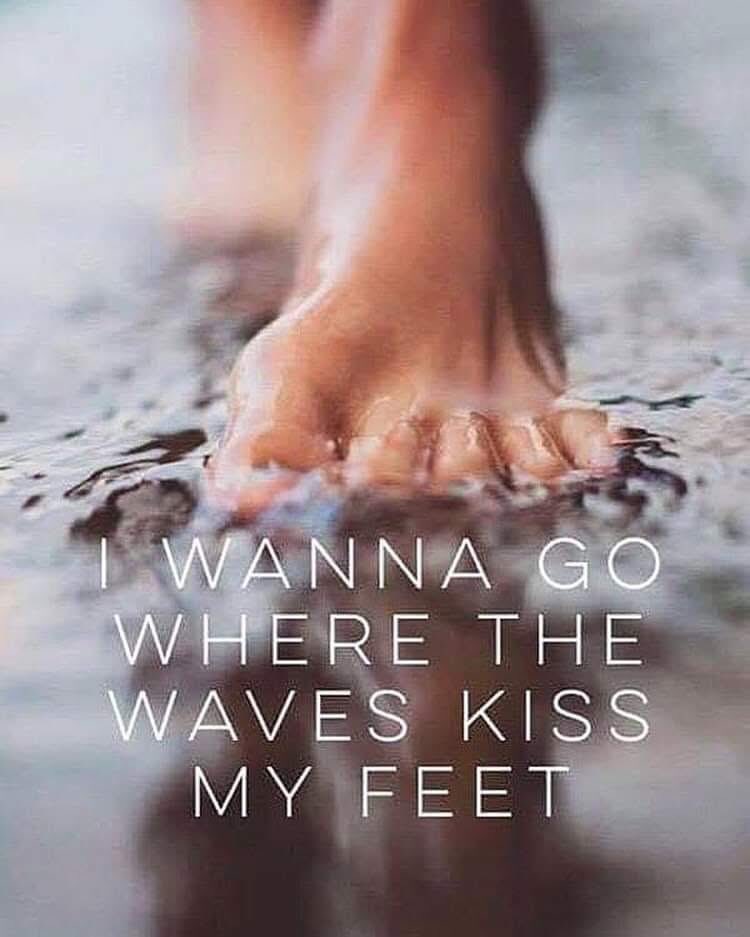 Andrea Cyprich (@andreacyprich1) on Twitter photo 