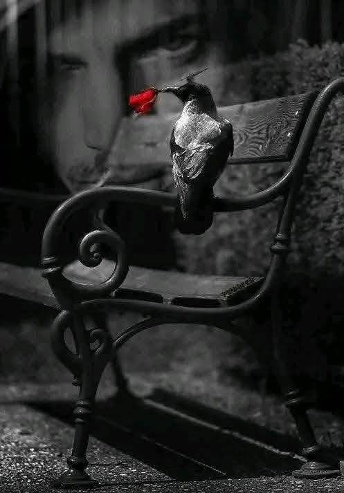 لا أحد يبوح بكل مايؤلمه.. فبعض الكتمان كرامة.. 🖤🥀