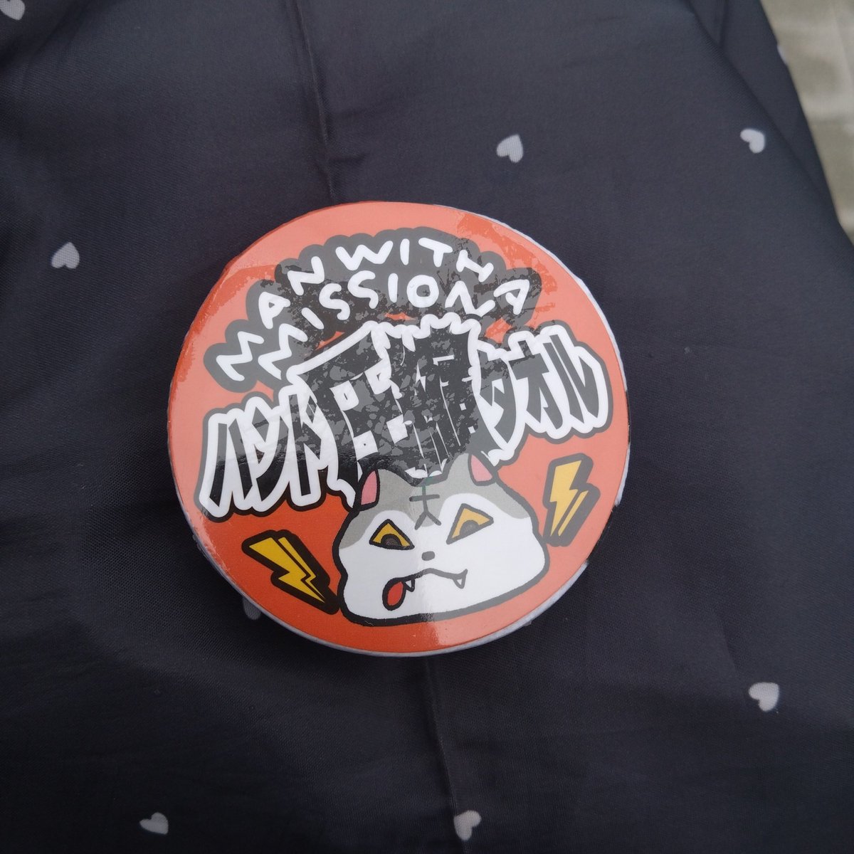 ぺんこ🐊🐺💿 tweet media