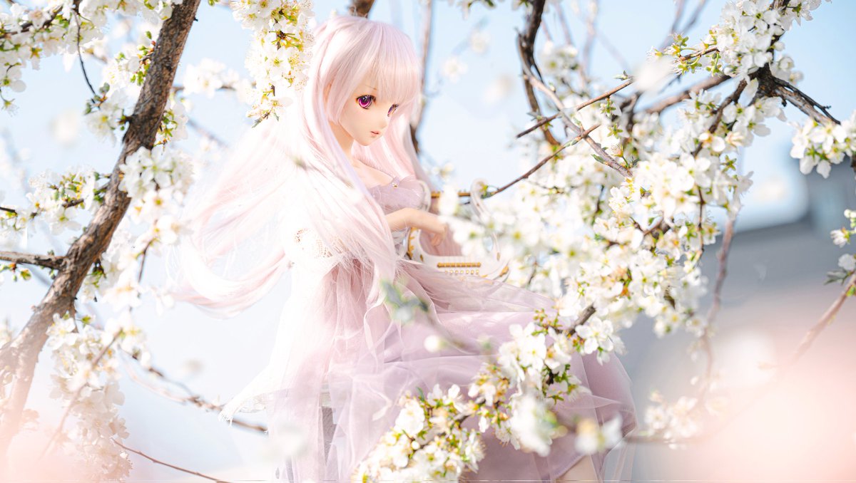 JohnAng32460836's tweet image. 春を奏でる音