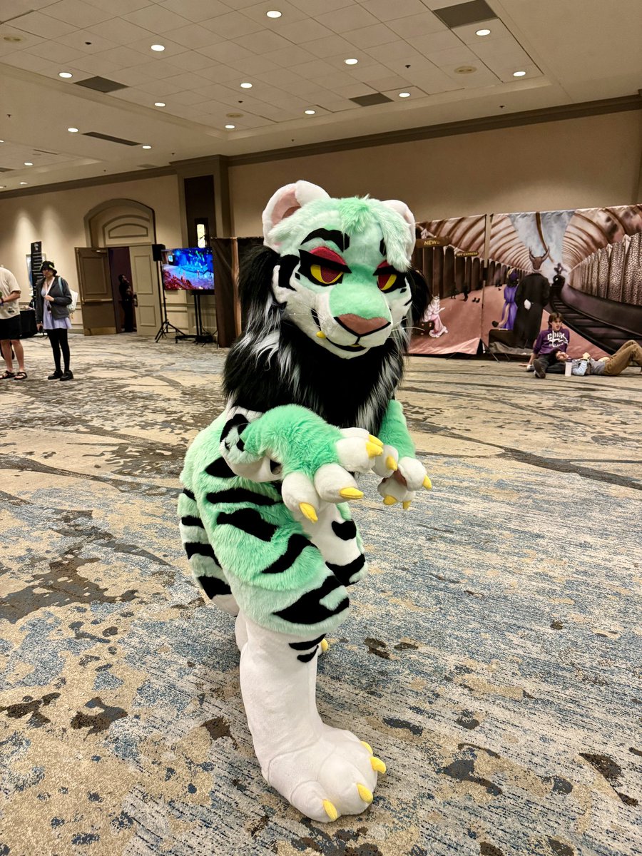 #TFF2025 
Suiters in order(left to right, top to bottom): @/limbowz(insta) + <a href="/ShawnerCaw/">Shawner</a>, @/xioialien(insta), <a href="/dragon_teck/">TECK?!?!</a>, &amp; @/jellyfishunite(insta)