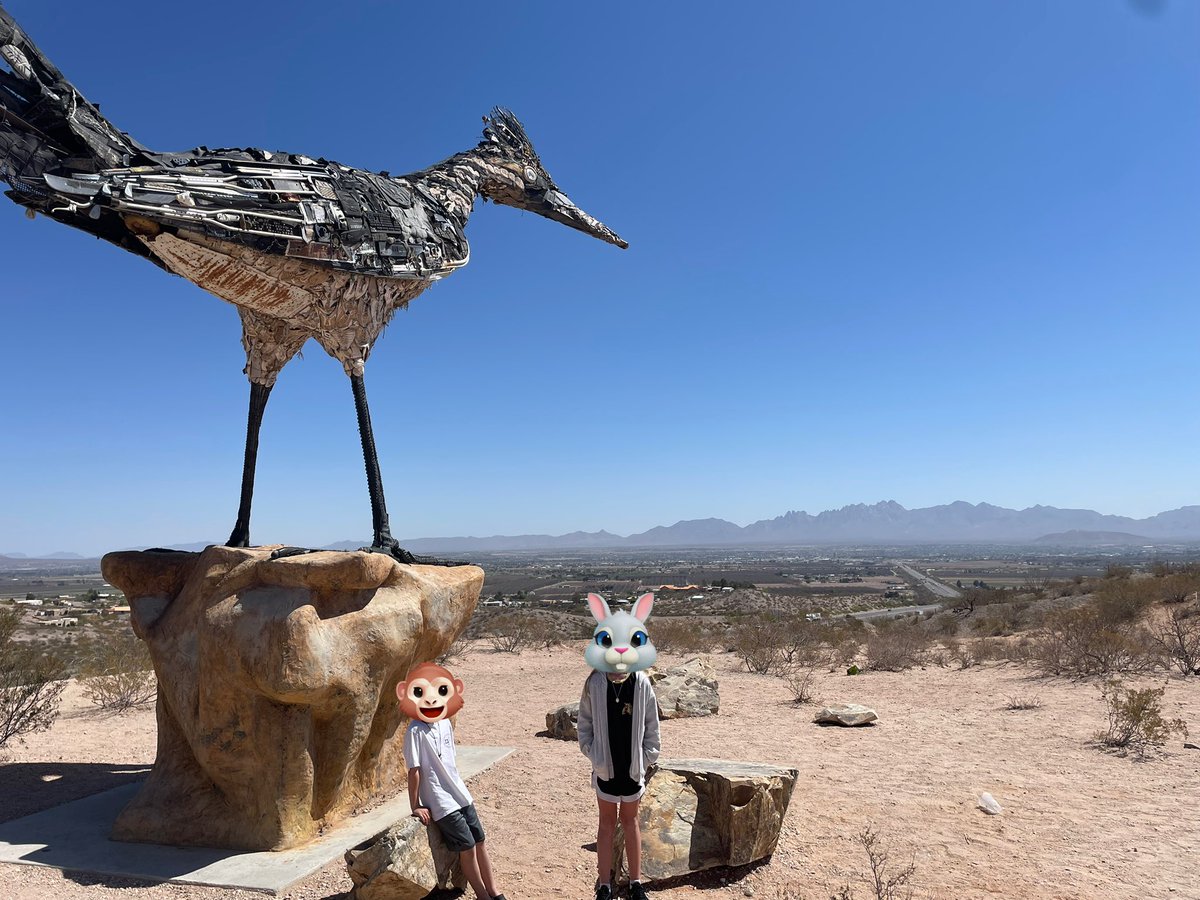 Landon K tweet media