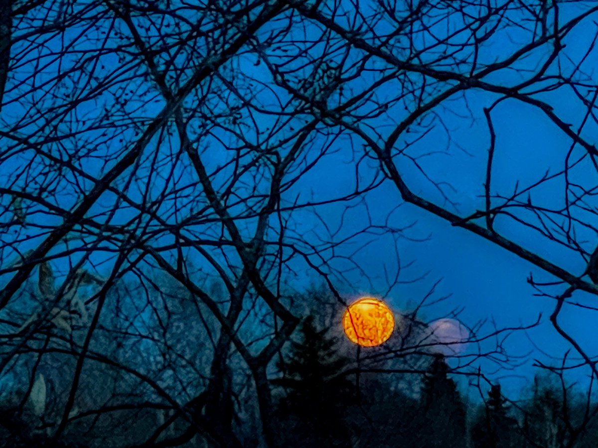 Does the moon grant wishes? I hope it does.