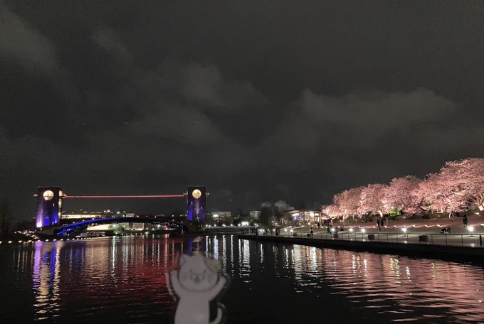 海沿いの駅を端から端までの旅おしまい行きたい所は他にもいっぱいあったけど富山広い&amp;路面電車わからん&amp;海岸落ち着く…でたくさんは回れなかったね 