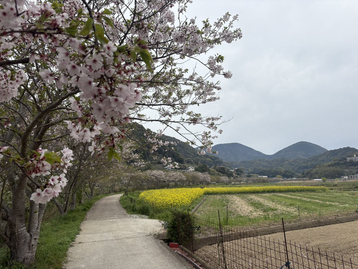 今の時期花粉が酷いって聞くけど、今年は目の痒みとか鼻水とか全く症状出ないんだよね。

ケムが消えたおかげか、あるいは腸活がうまくいったからか、いずれにせよありがたし♪