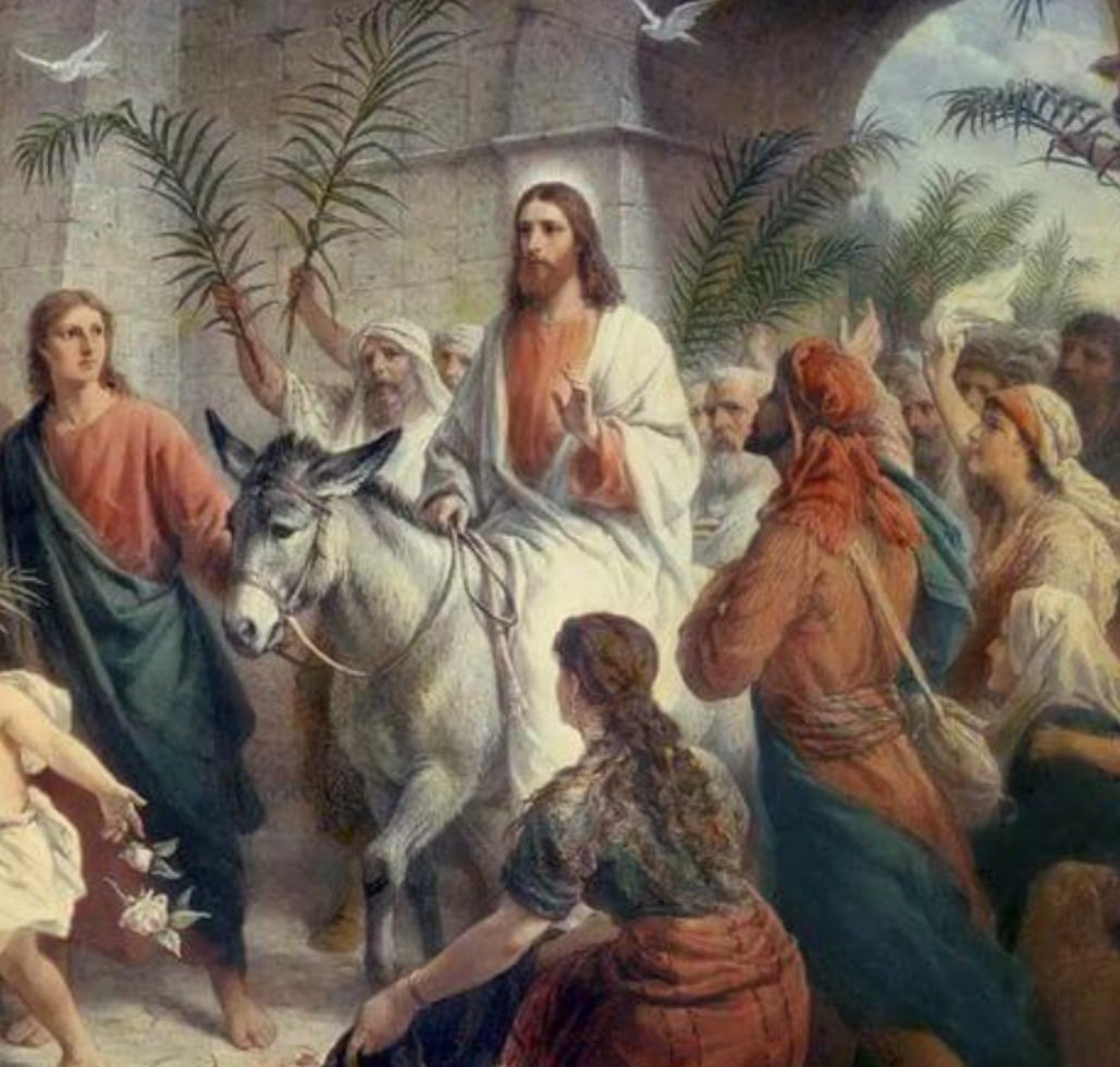 "Palm Sunday tells us that it is the cross that is the true tree of life." -
Wish you all a blessed Palm Sunday!