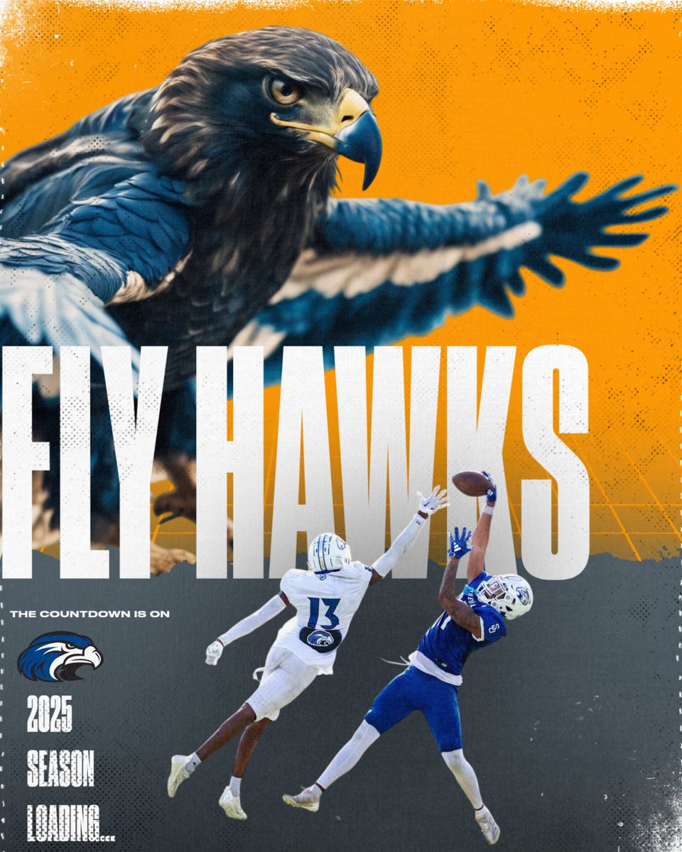 FLY HAWKS