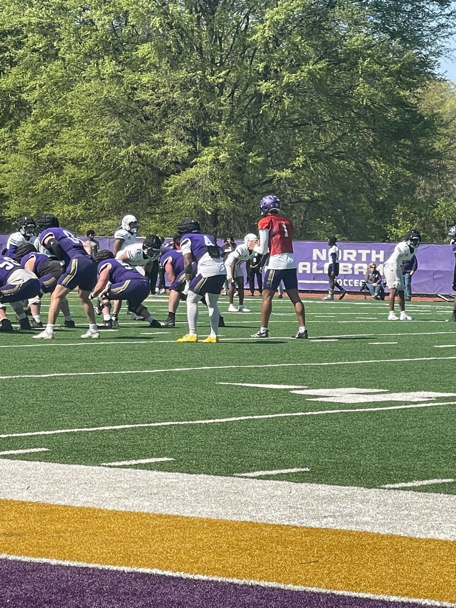 LT Sanders tweet media