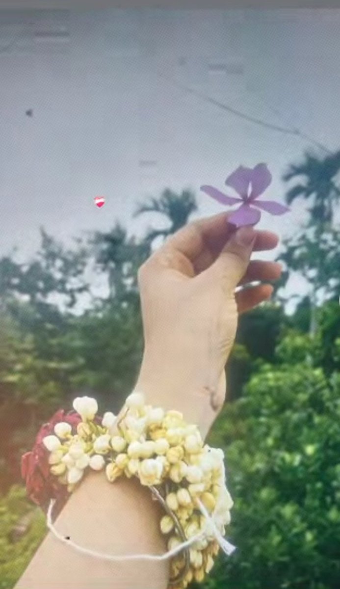 🌸🌸🌸
#twitterblades