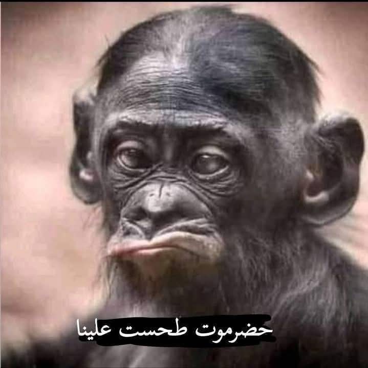 BAlkteri's tweet photo. 😂😂😂 #خطاباتك #ضيعتك #كل #تفاااااح https://t.co/1163Kkds40