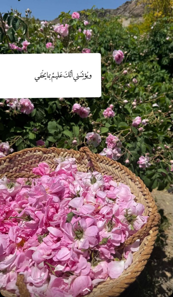 “ وَيُؤْنِسُنِي أَنَّكَ عَلِيمٌ بِمَا يَخْفَى “

#صباح_الخير⁩
⁧#صباح_الأشــﯾاء_الـﻤشرقَة