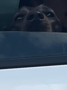 Kai (@kai_n8) on Twitter photo 