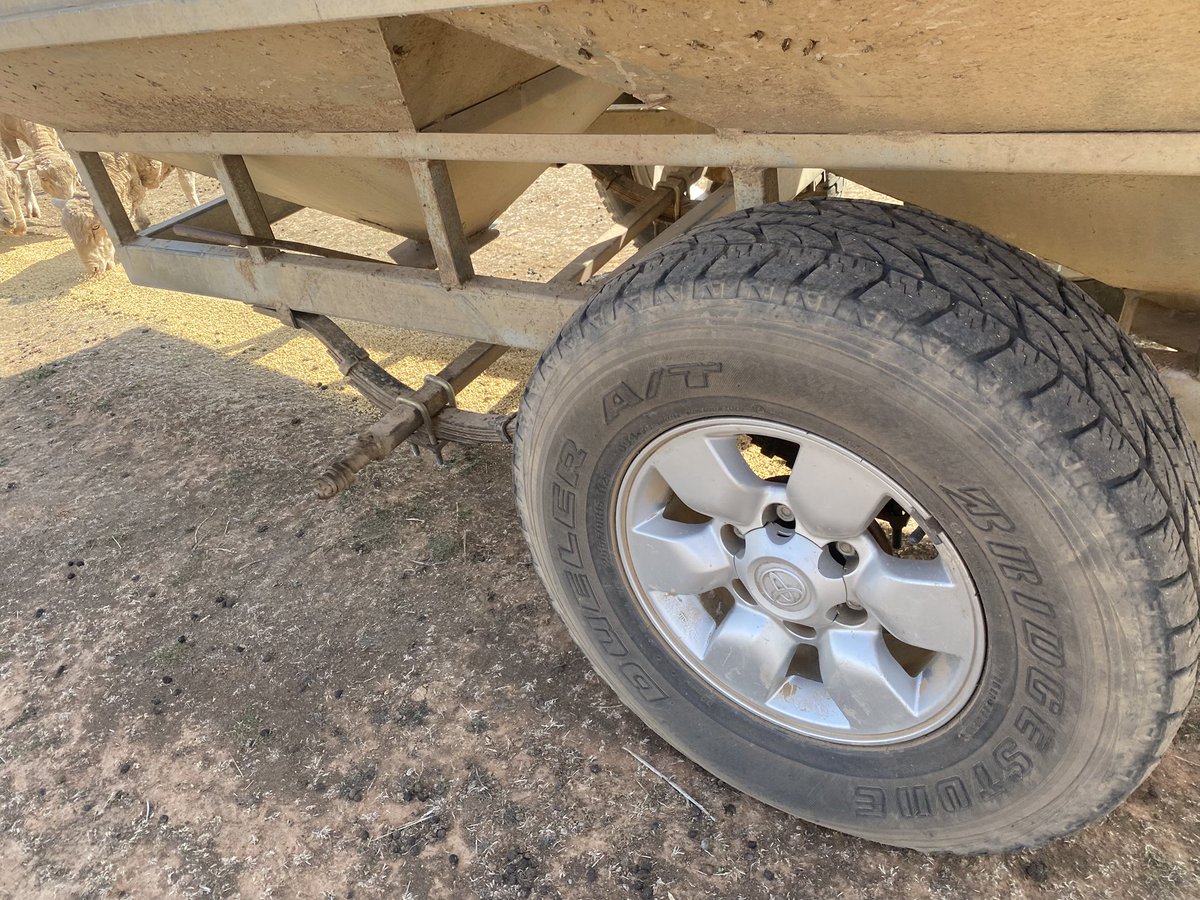 Tom Small tweet media