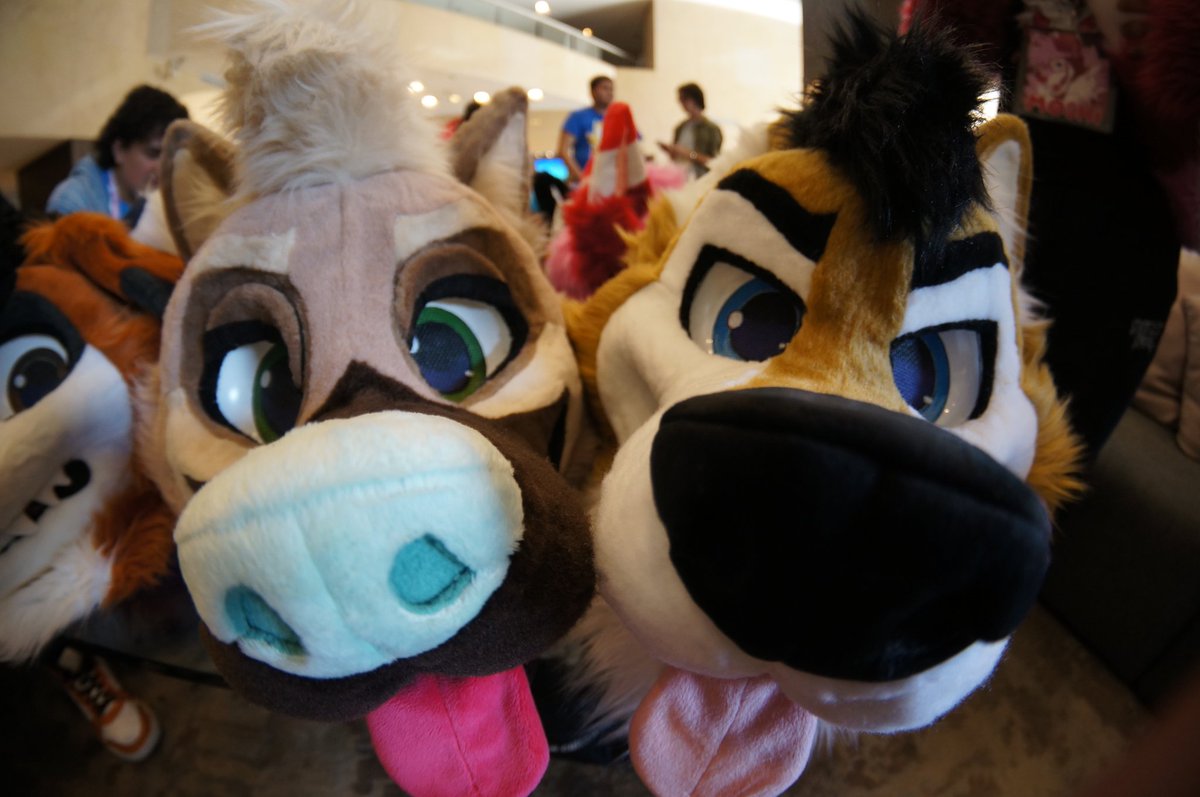 KokoCritters's tweet image. Sniff sniff, would anyone be interested in a fusuit head for 10️⃣0️⃣0️⃣ ? Preferably full payment or 50-50
It would be starting in October-November