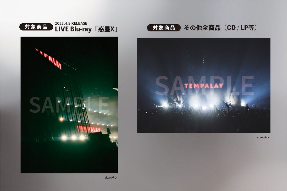 Today!!!!!!!!!!!! Tempalay 