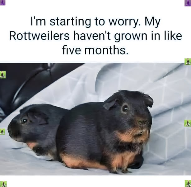 Papa Woof und Krampus und Bleaken (@woofknight) on Twitter photo 