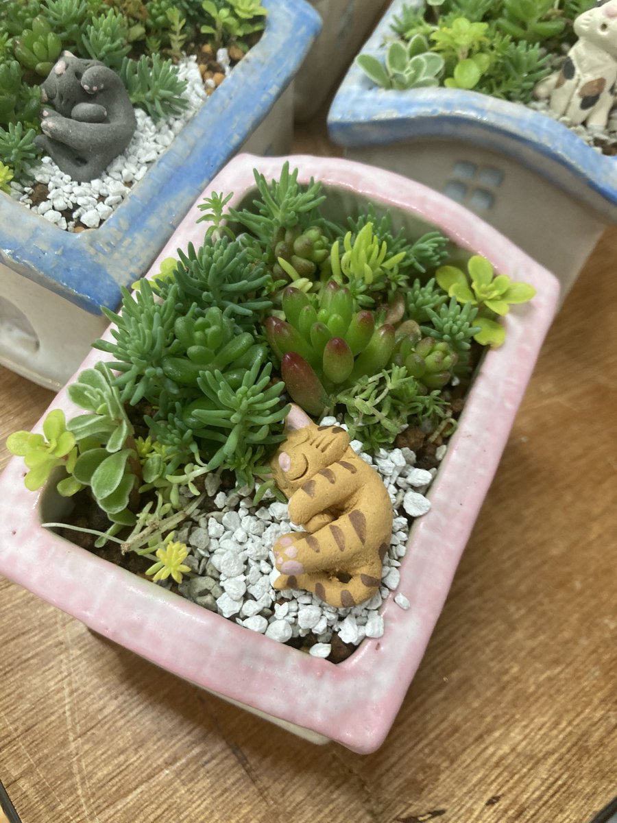 isaポタ tweet media