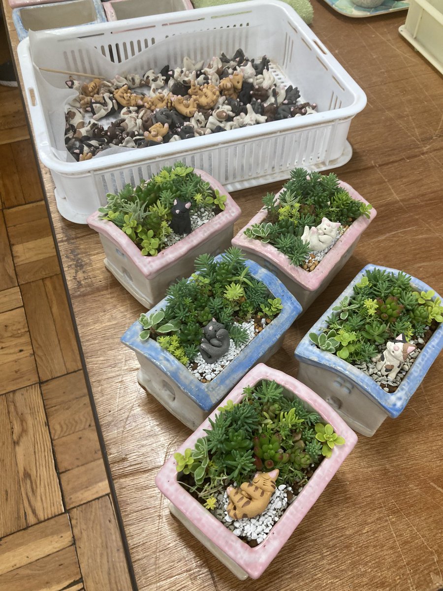 isaポタ tweet media