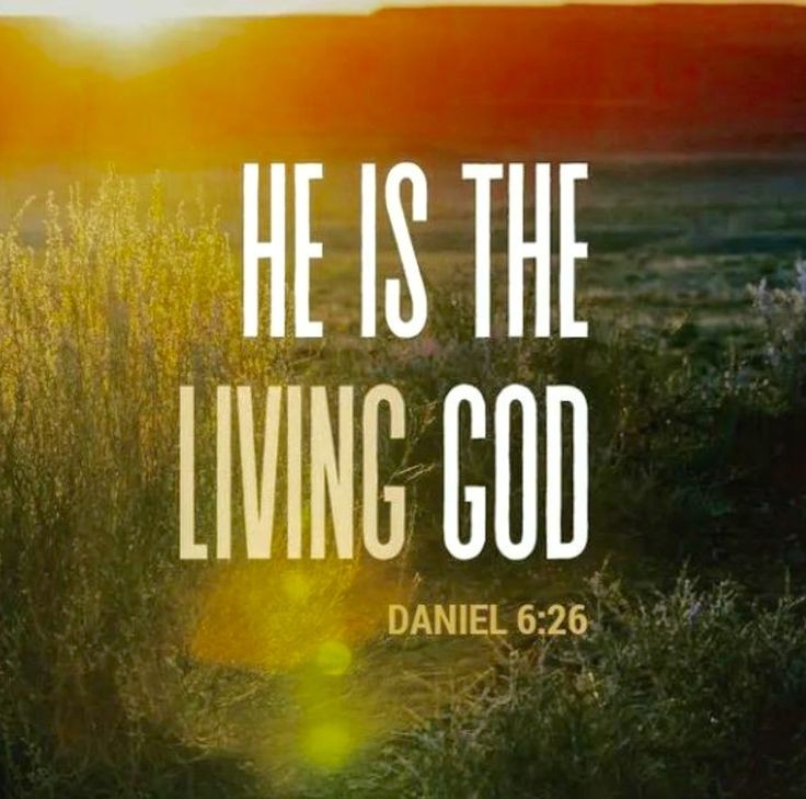 The__Bible7's tweet photo. Daniel 6:26 https://t.co/jP7xfUhfhb