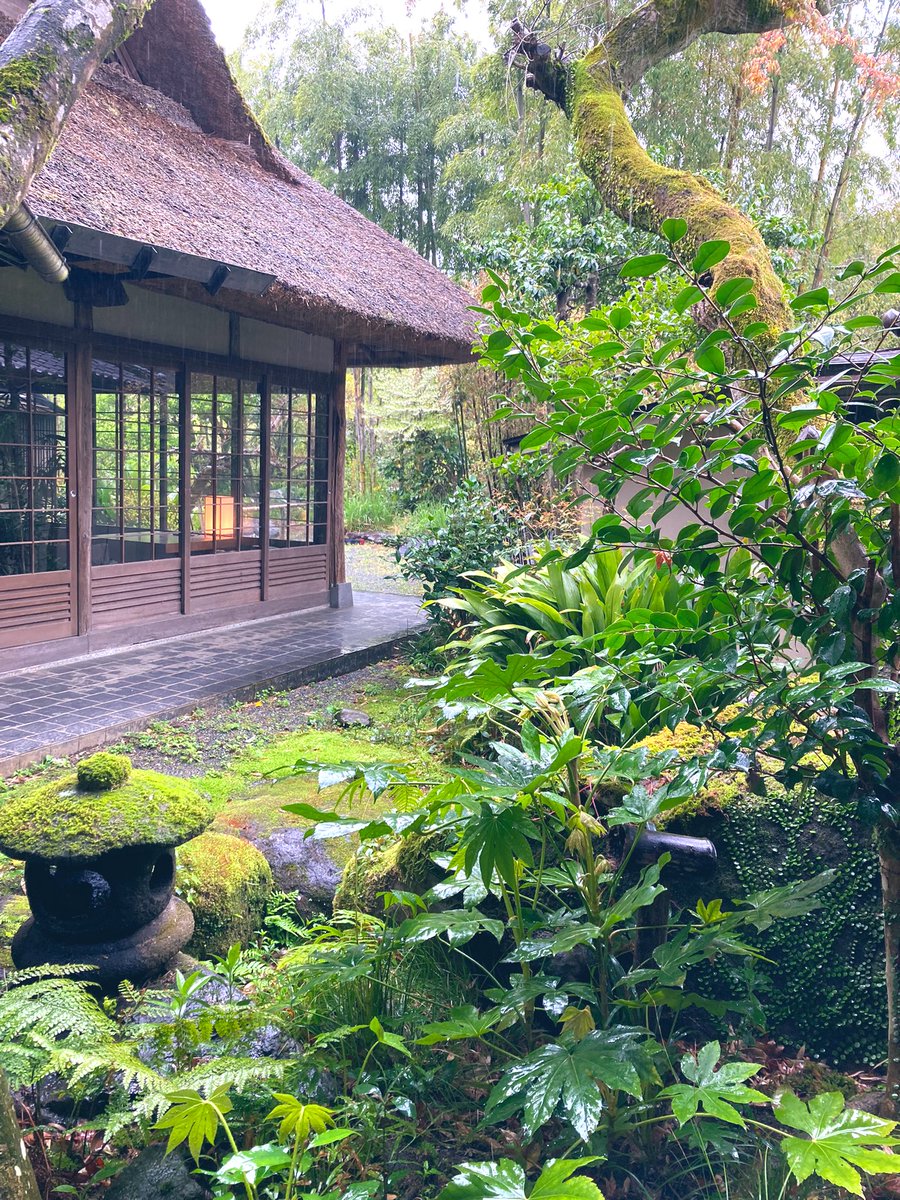 maruchannon's tweet photo. 箱根のおひとりさま向けのお宿、養生館はるのひかりさん。よかったです☺️
締めは箱根まんじゅう。タイルは寄木細工モチーフですね(๑´•.̫•`๑)♡ຼ https://t.co/q0PIpHNy2p