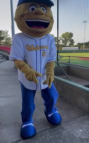 Binging Baseball tweet media