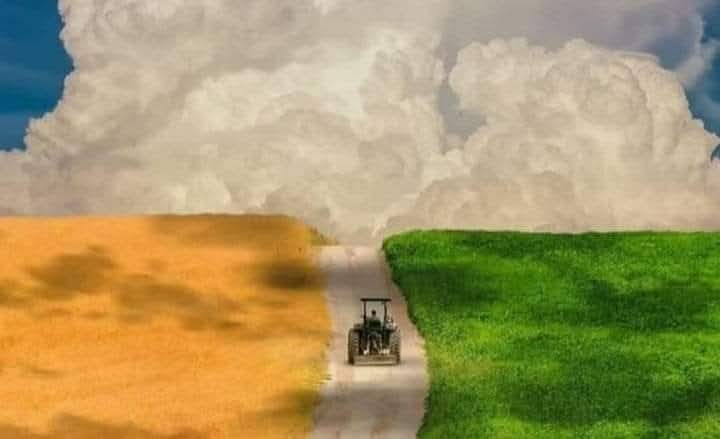 किसानों के त्यौहार खेत से खेत तक रहे हैं,चाहे तीज हो या बैशाखी.
जिस भी त्यौहार में हम बाजार से सामान खरीदकर खुशियाँ मनाते हैं,वो त्यौहार का बाजारीकरण है,
आइये!किसान तीर्थों पर आकार #बैशाखी का त्यौहार मनाइये।
#किसान_दिवस
#Jat_Diwas
