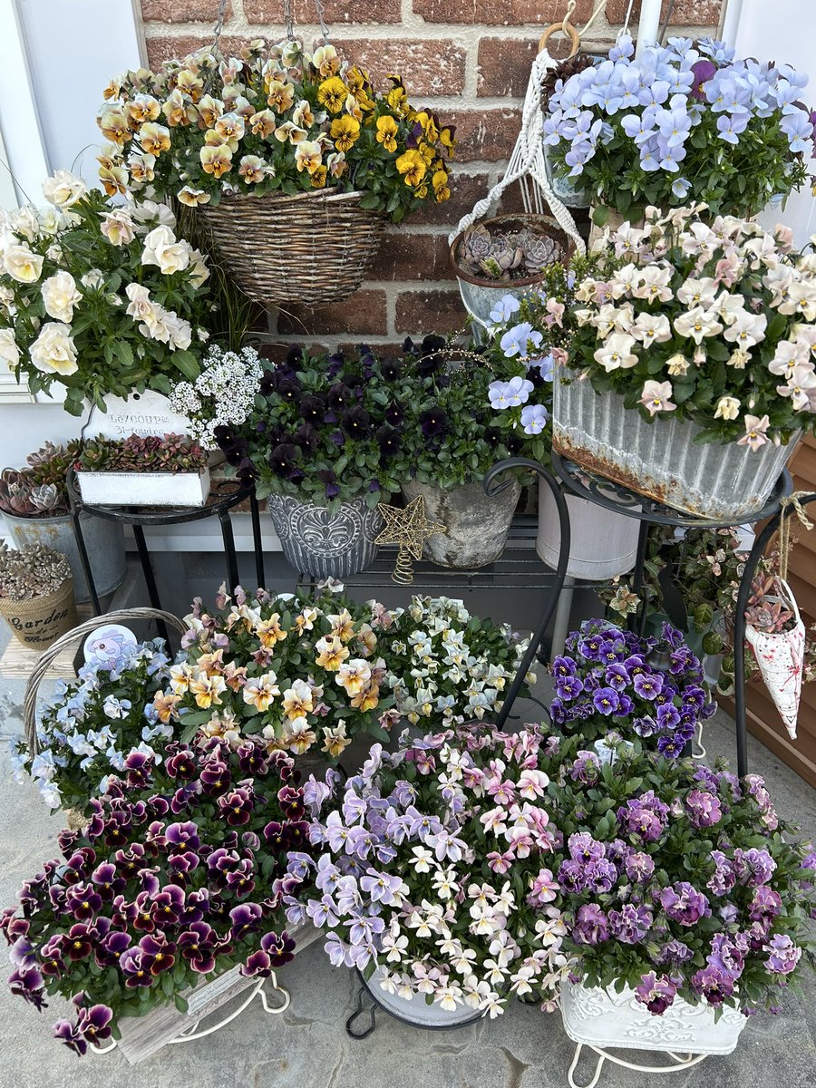 新田 (@uyJI0y4ov9B2WIY) / Posts / X