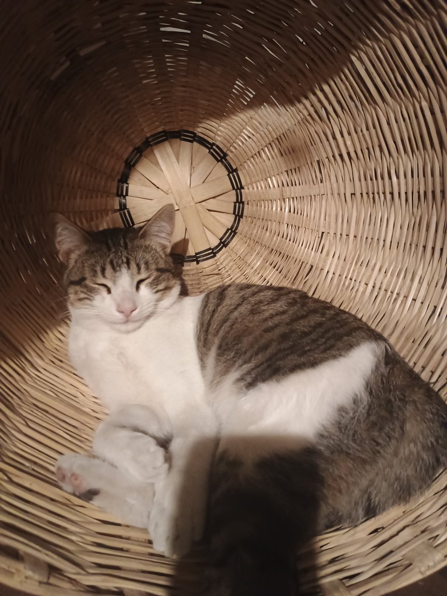 Demostenes tweet media