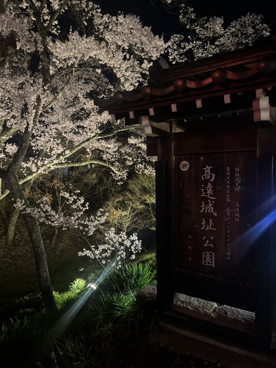 elmo5586's tweet photo. 今年も高遠行ってきた〜
実家の芝桜も満開✨ https://t.co/OA31DNbD4T