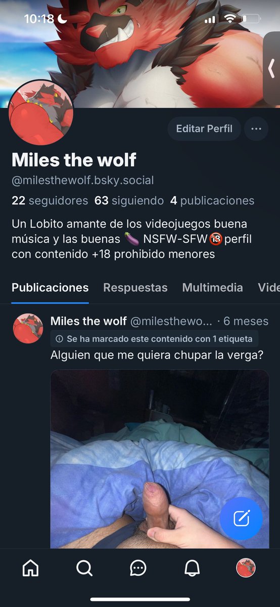 Al diablo con los bots creo que intentaré publicar más seguido en otro “Twitter”