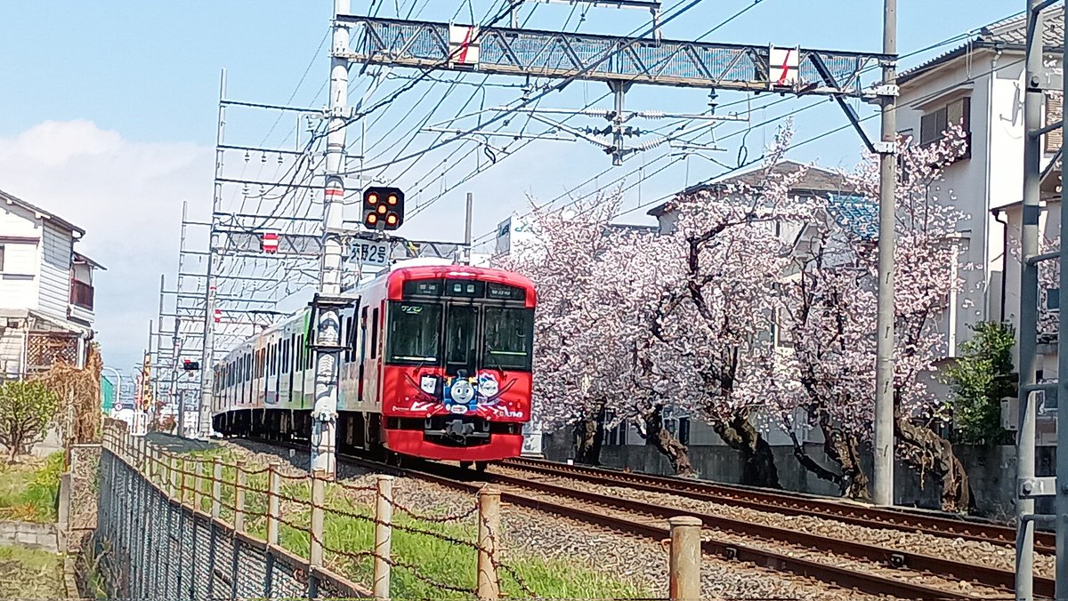 Poponta_Pupulin's tweet photo. #京阪電車
#トーマス
#さくら https://t.co/h1b0utRSb5