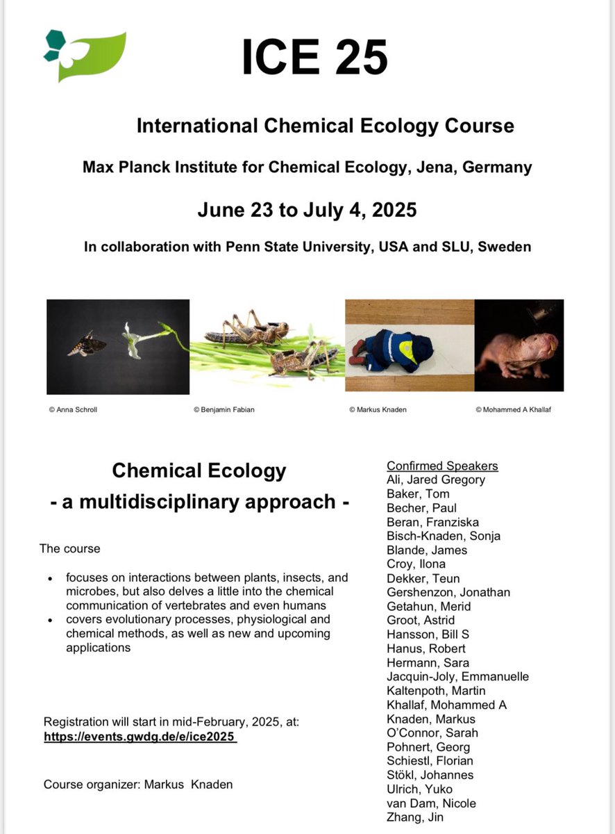 Interested in chemical ecology? Consider attending the international short course offered this year in Jena, Germany! events.gwdg.de/event/1003/ #ecology #plantinsectecology #trophicinteractions 🐛🕷️🦍🧍👩🏽‍🔬