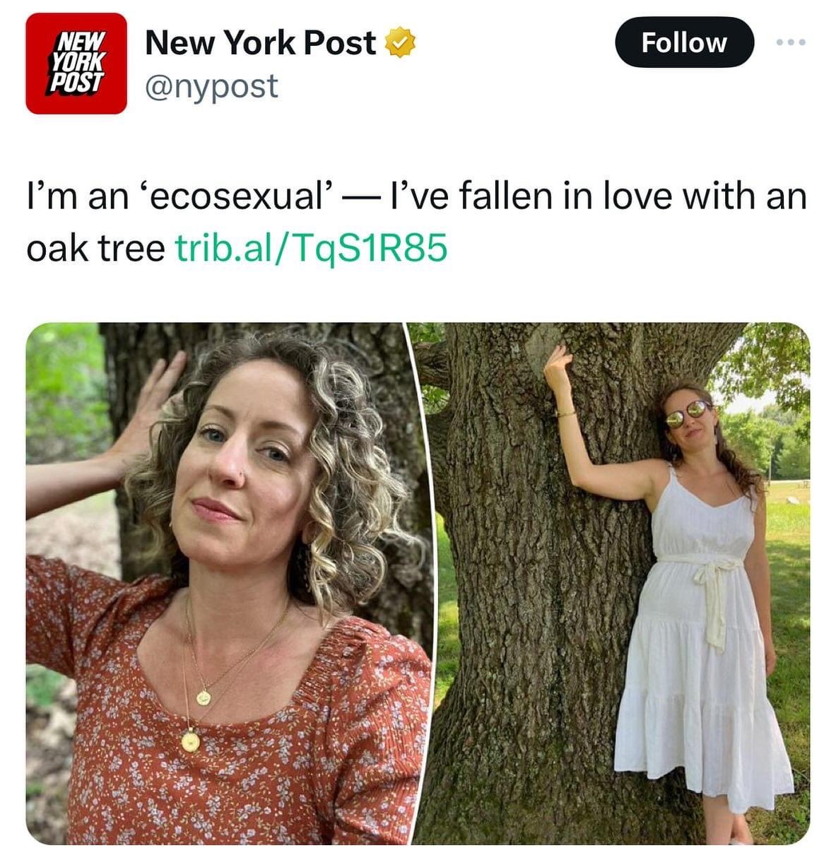 Rothmus 🏴 tweet media