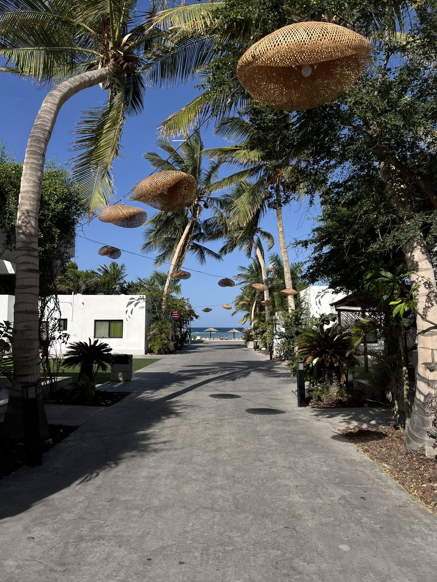 sin_a25's tweet photo. 29C° ⛱️☀️🏝️ https://t.co/TrH19aM0aN